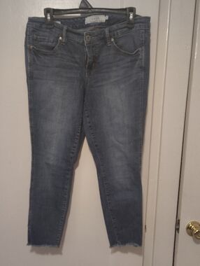 torrid Medium Blue Ankle Skinny Jeans